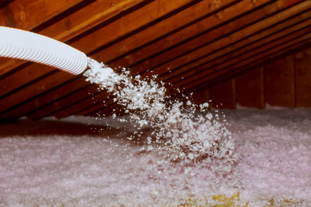 Best Insulation Installation Services in Mauldin, SC