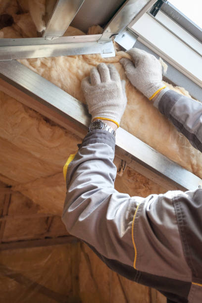 Professional Insulation Contractor in SC